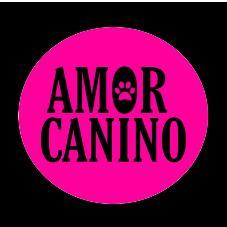 AMOR CANINO