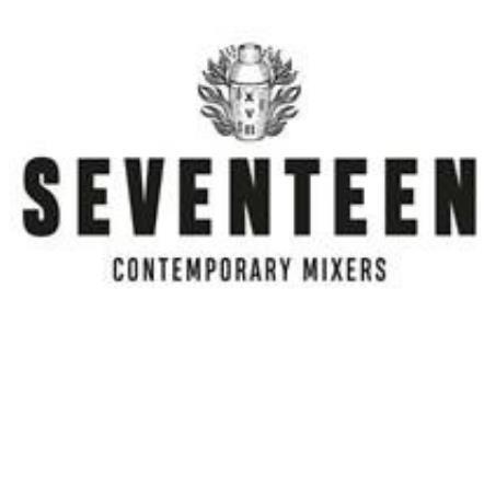 SEVENTEEN CONTEMPORARY MIXERS