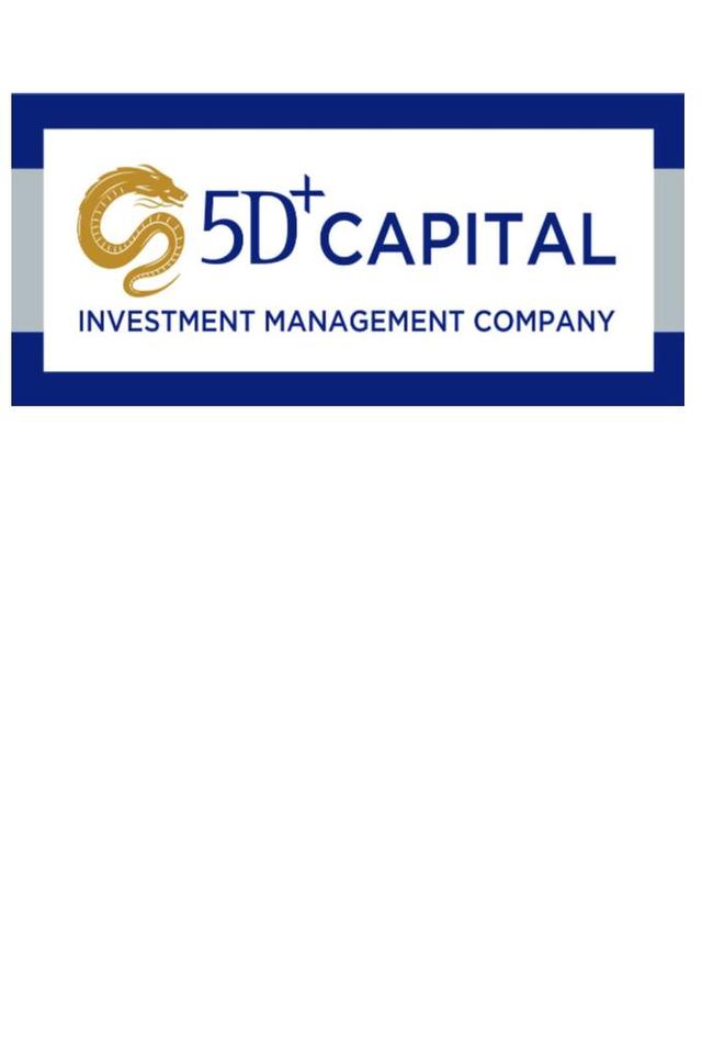 5D+ CAPITAL INVESTMENT MANAGEMENT COMPANY