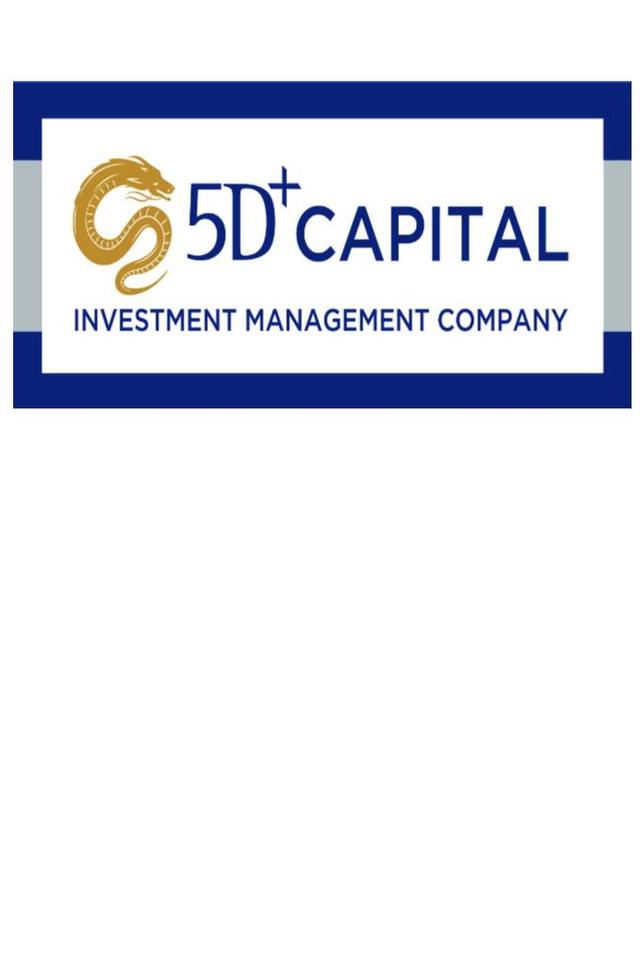 5D+ CAPITAL INVESTMENT MANAGEMENT COMPANY