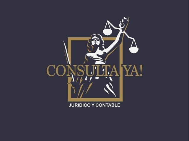 CONSULTA YA  JURIDICO Y CONTABLE