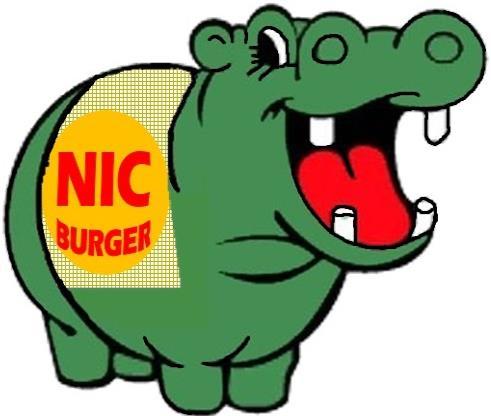 NIC BURGER