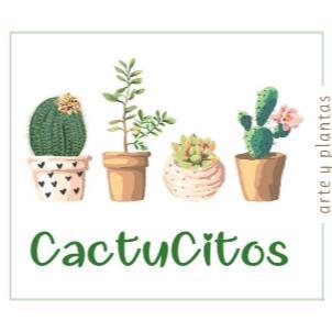 CACTUCITOS ARTE Y PLANTAS