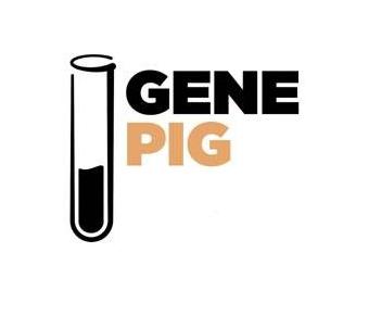 GENE PIG