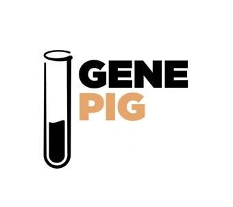 GENE PIG