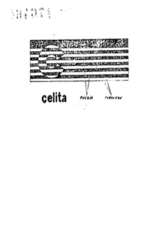 C CELITA