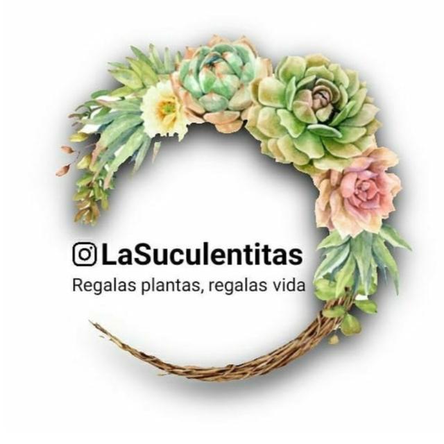 LASUCULENTITAS REGALAS PLANTAS, REGALAS VIDA