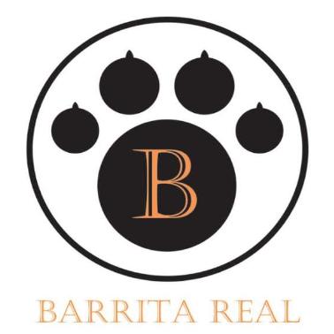 B BARRITA REAL