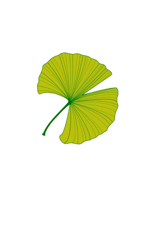 GINKGO ESTUDIO