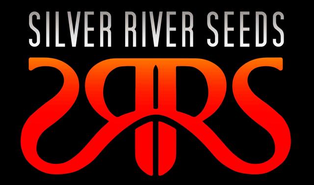 SILVER RIVER SEEDS