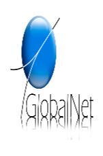 GLOBAL NET