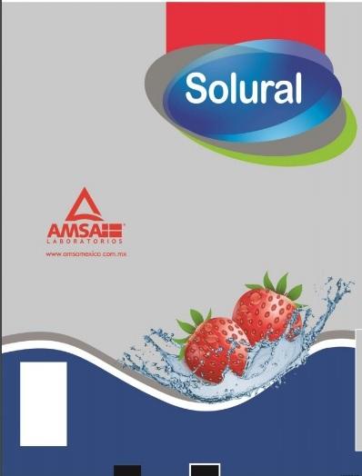 SOLURAL AMSA LABORATORIOS WWW.AMSAMEXICO.COM.MX