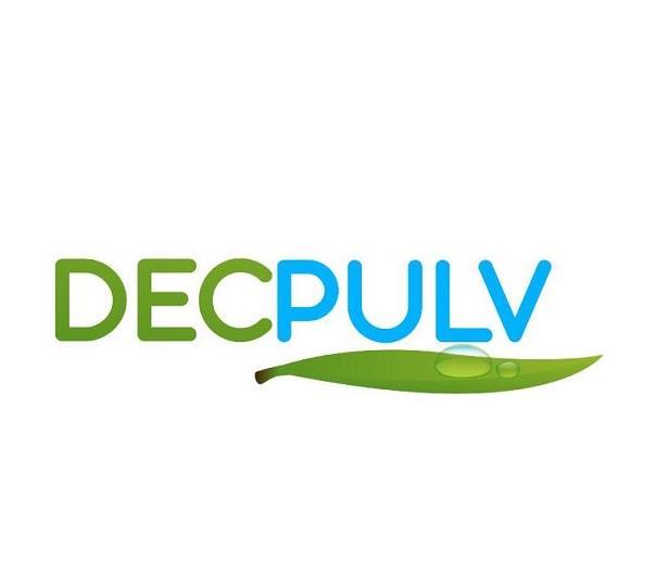 DECPULV