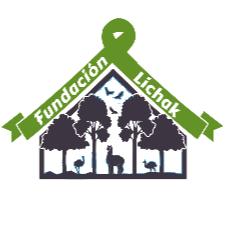 FUNDACION LICHAK