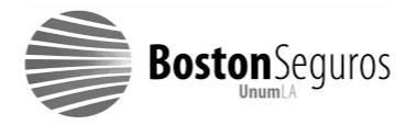 BOSTON SEGUROS UNUMLA