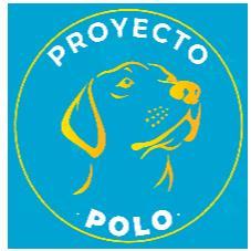 PROYECTO POLO