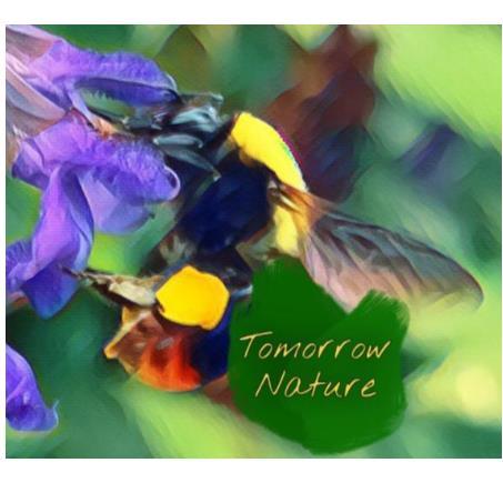 TOMORROW NATURE