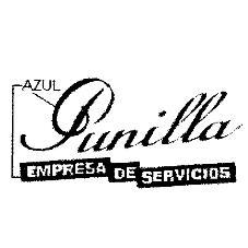 PUNILLA EMPRESA DE SERVICIOS