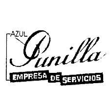 PUNILLA EMPRESA DE SERVICIOS