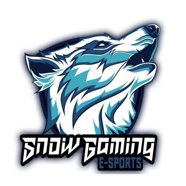 SNOW GAMING E-SPORTS