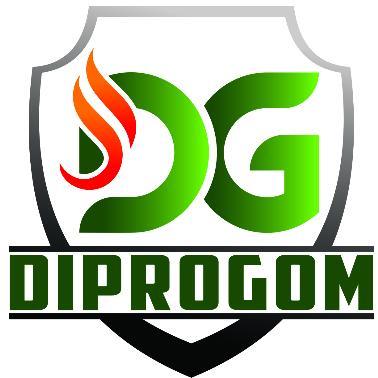 DG DIPROGOM