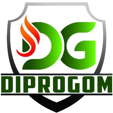 DG DIPROGOM