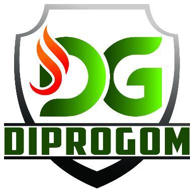 DG DIPROGOM