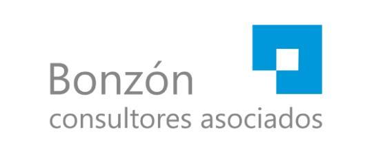 BONZÓN CONSULTORES ASOCIADOS