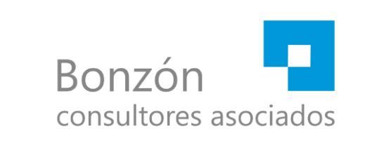 BONZÓN CONSULTORES ASOCIADOS