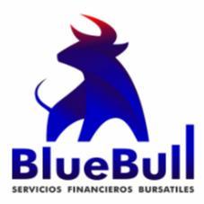 BLUEBULL SERVICIOS  FINANCIEROS BURSATILES