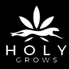 HOLY GROWS