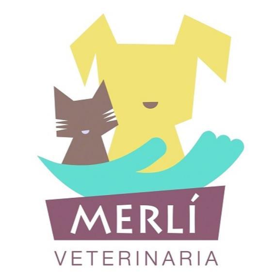 MERLÍ VETERINARIA