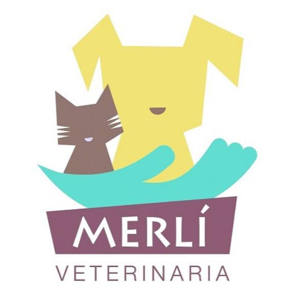 MERLÍ VETERINARIA