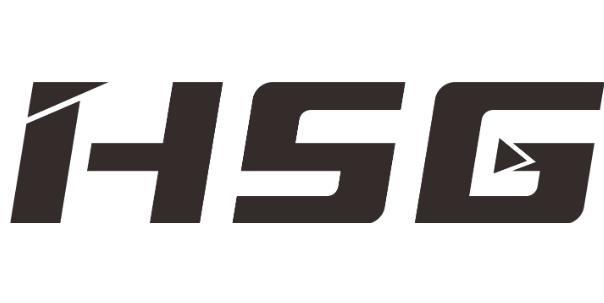 HSG