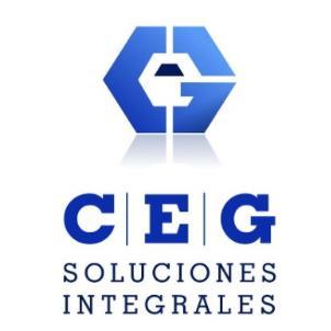 C E G SOLUCIONES INTEGRALES