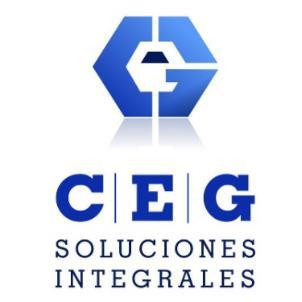 C E G SOLUCIONES INTEGRALES