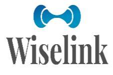 WISELINK