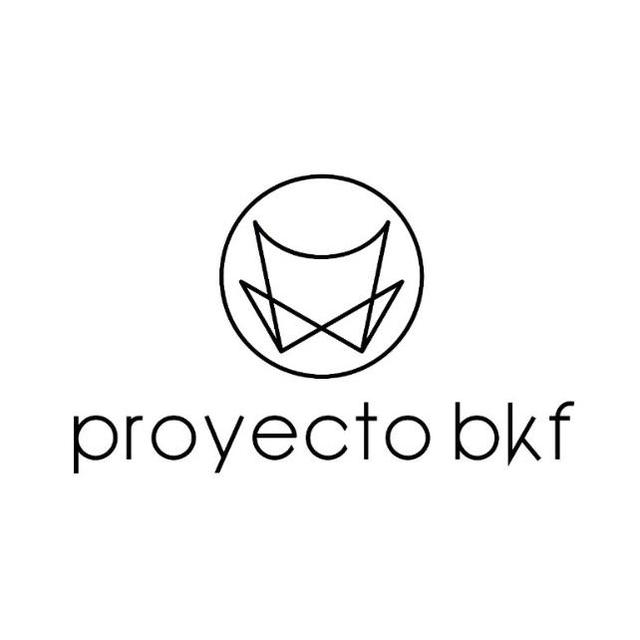 PROYECTO BKF