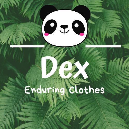 DEX ENDURING CLOTHES