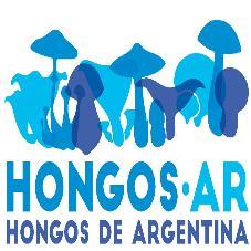 HONGOS AR HONGOS DE ARGENTINA