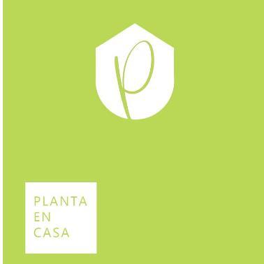 P PLANTA EN CASA