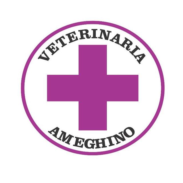 VETERINARIA AMEGHINO