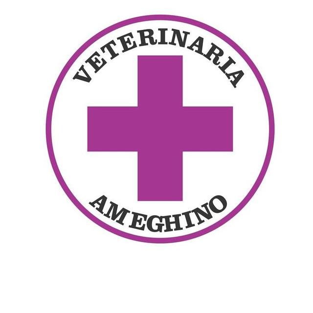 VETERINARIA AMEGHINO