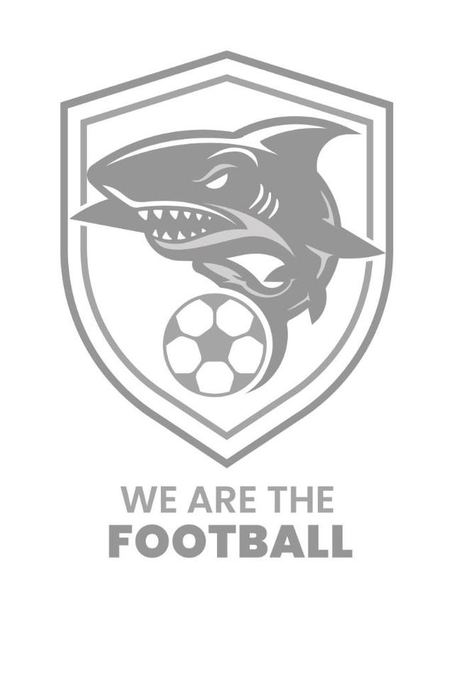 WE ARE THE FOOTBALL