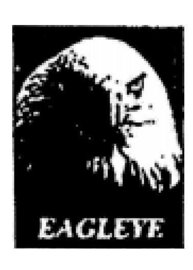 EAGLEYE