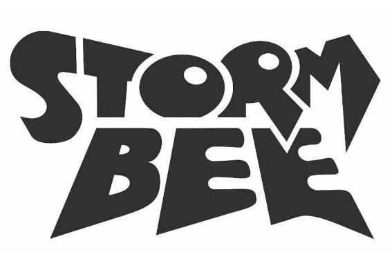 STORM BEE