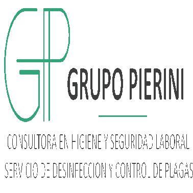 GRUPO PIERINI