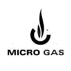 MICRO GAS