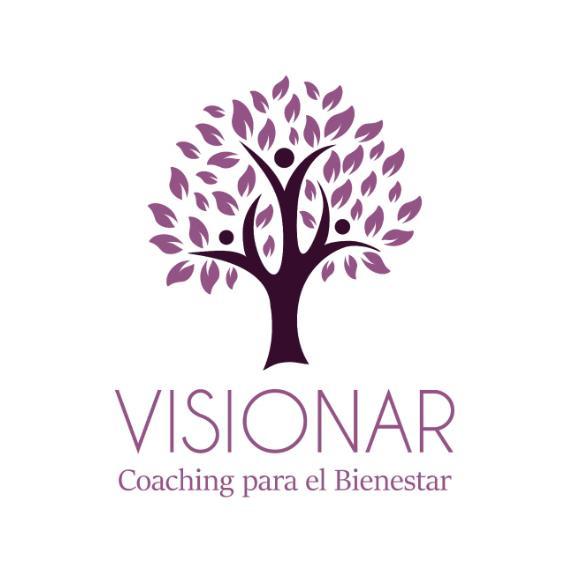 VISIONAR COACHING