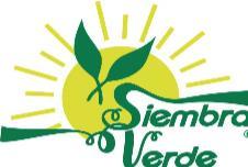 SIEMBRA VERDE
